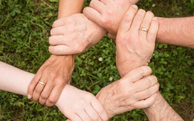 Stai cercando qualcosa di diverso?